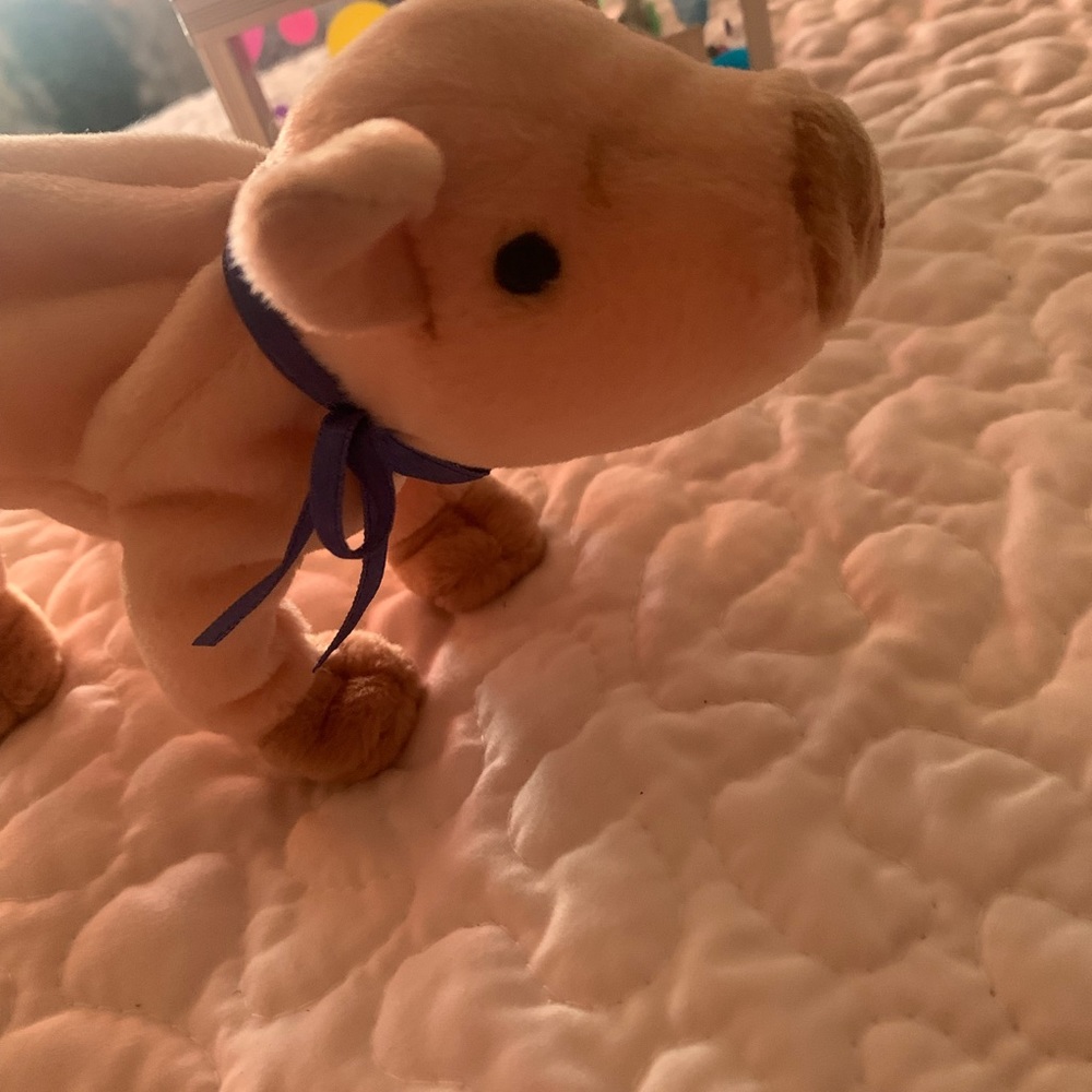 RARE TAG⭐️ty knucles⭐️$3,000⭐️ - Picture 3 of 11
